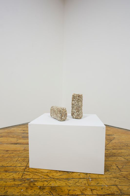 Installation view, Bending Towards the Sun, 20190401