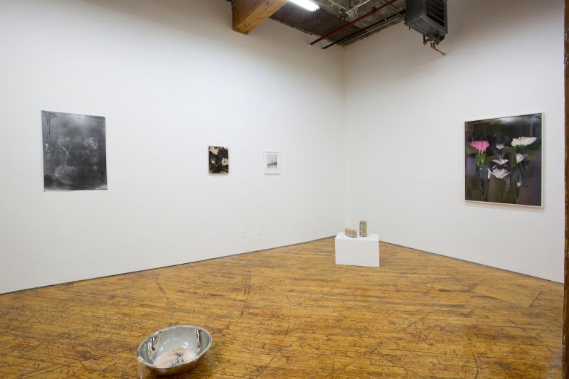 Installation view, Bending Towards the Sun, 20190401