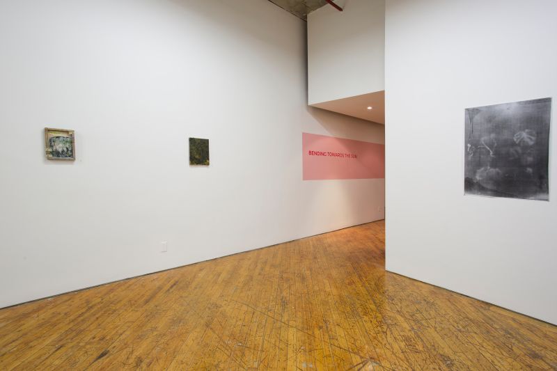 Installation view, Bending Towards the Sun, 20190401