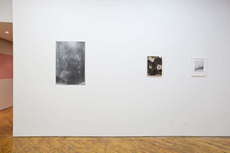 Installation view, Bending Towards the Sun, 20190401