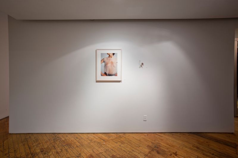 Installation view, Bending Towards the Sun, 20190401