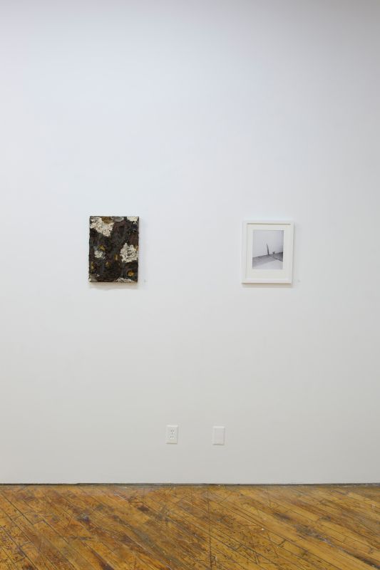 Installation view, Bending Towards the Sun, 20190401