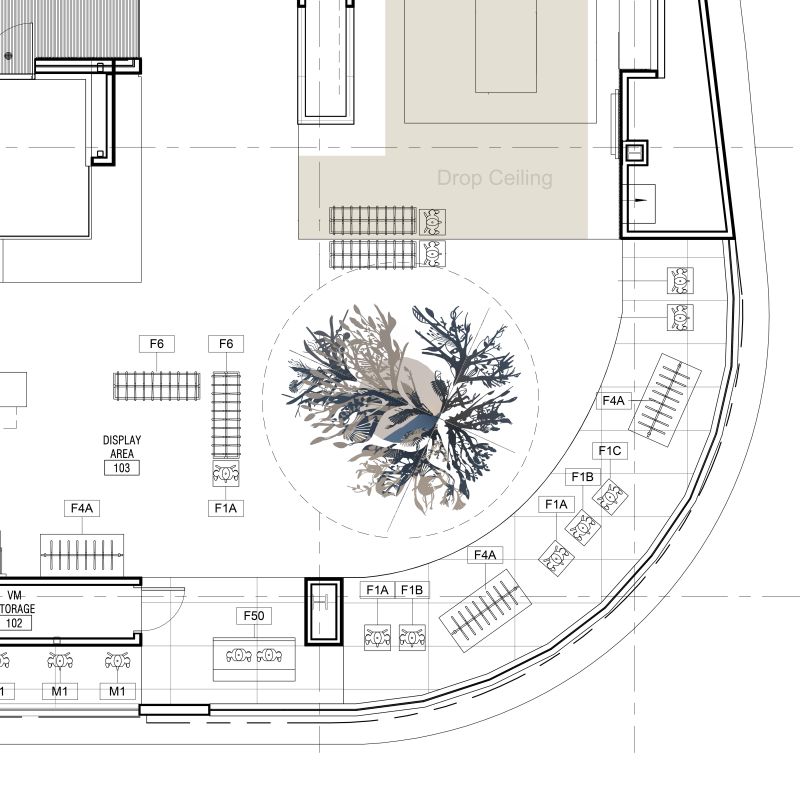 Installation view, Story Tree, 2020