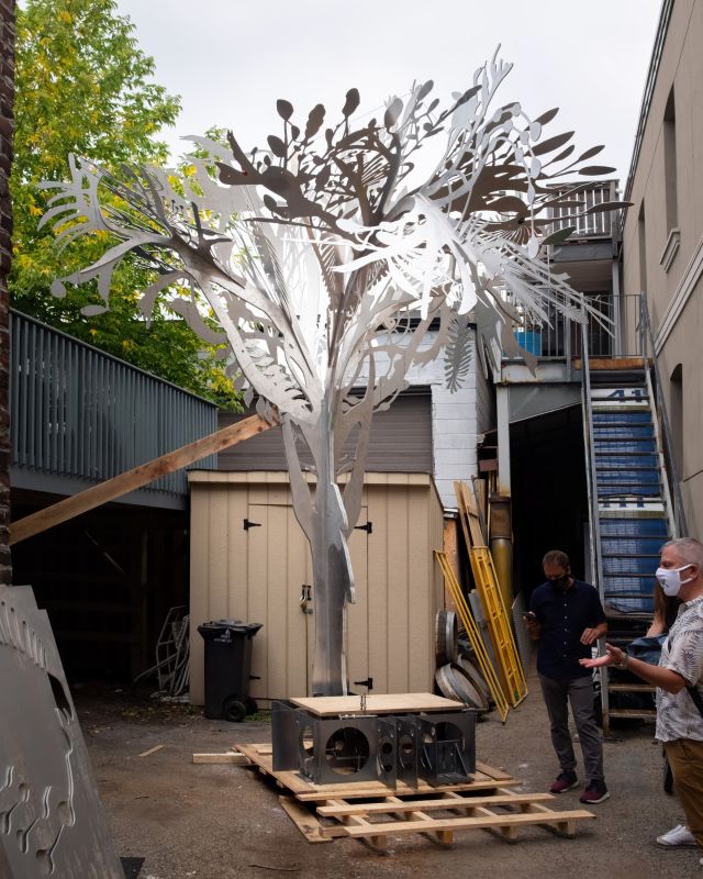 Installation view, Story Tree, 2020