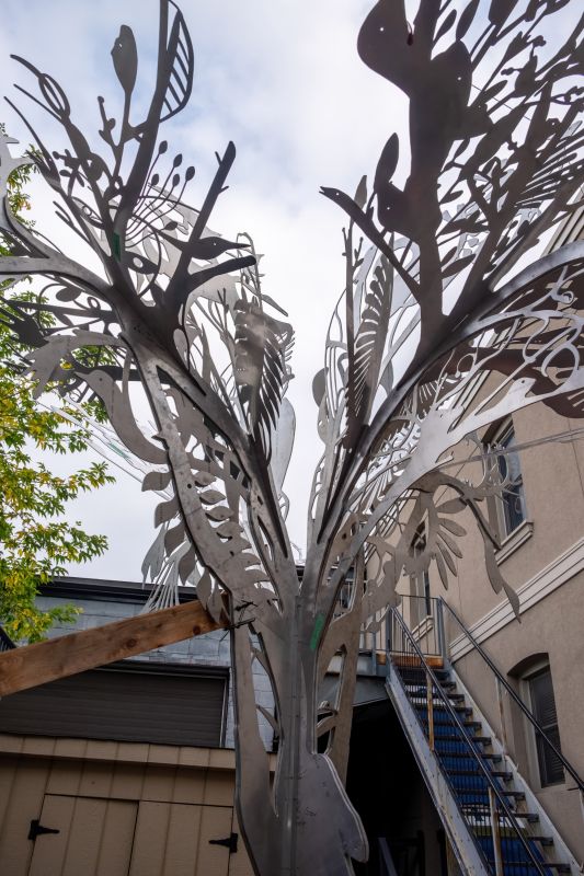 Installation view, Story Tree, 2020