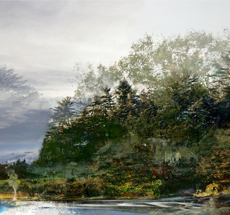 Day Forest 118x126, 20210801, digital image