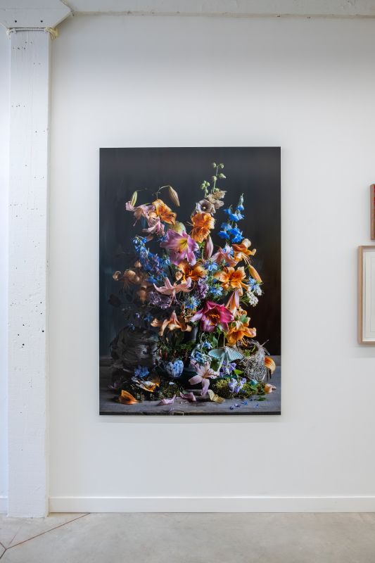 Kristin Sjaarda, Pollinator