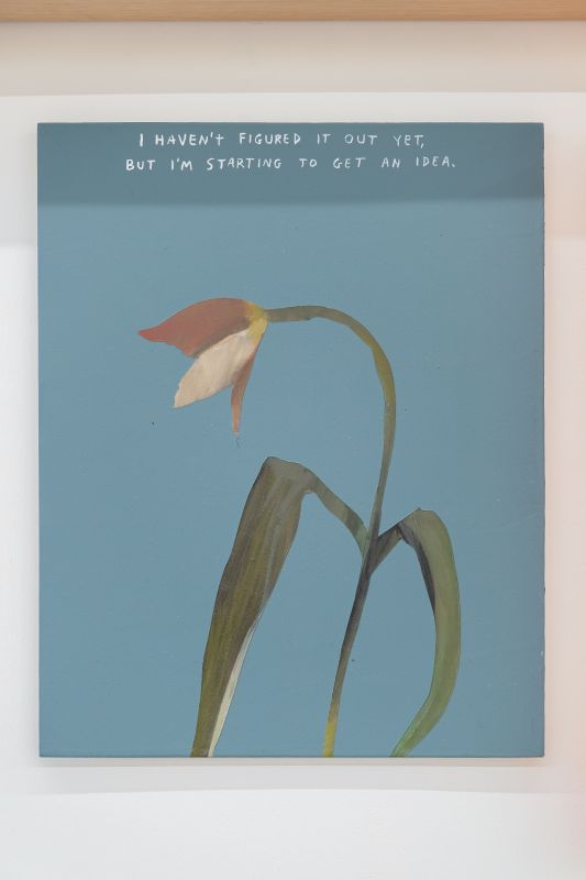 Michael Dumontier + Neil Farber, I haven't figured it out yet…, 2018