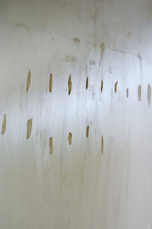Installation view, Ejected Bodies, 20250801