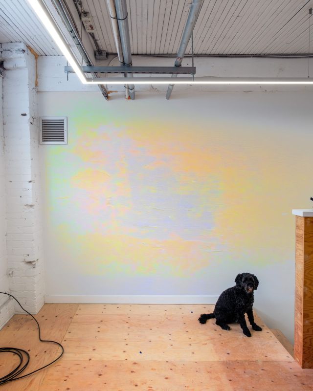 Alex Fischer, Untitled [GTZ5404], 20250819
