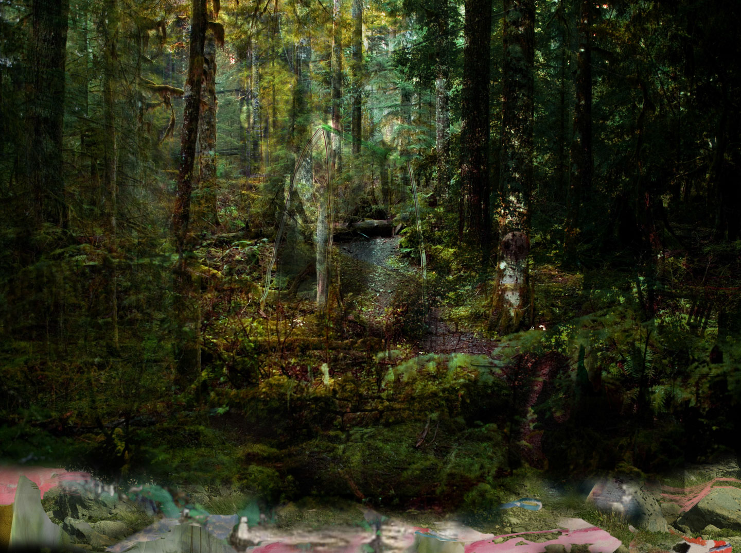 Alex Fischer, Untitled Greens, 2010, 15&times;20 inch digital matte giclee