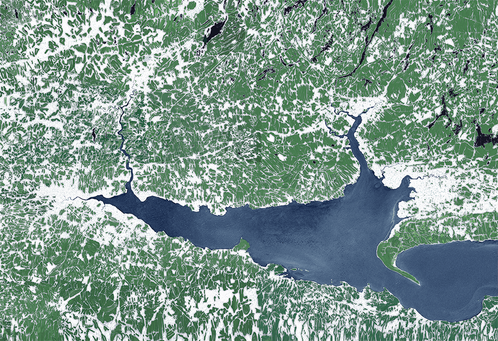 2012 Alex Fischer Mouth (transparency) 2012 Alex Fischer Mouth (transparency)