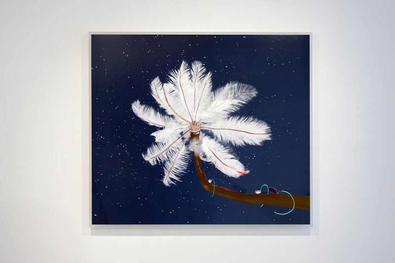 2013-10-19 install photo 13 Alex Fischer, Dry Pixels and Wet Molecules, O'Born Contemporary, Toronto, Canada