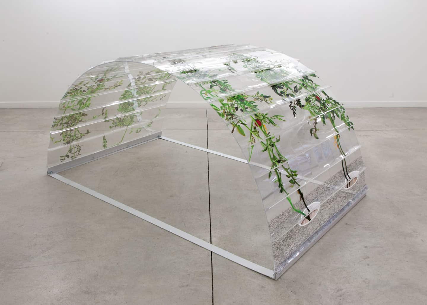 Alex Fischer, VII 6000, 2015 Alex Fischer, VII 6000, 2015