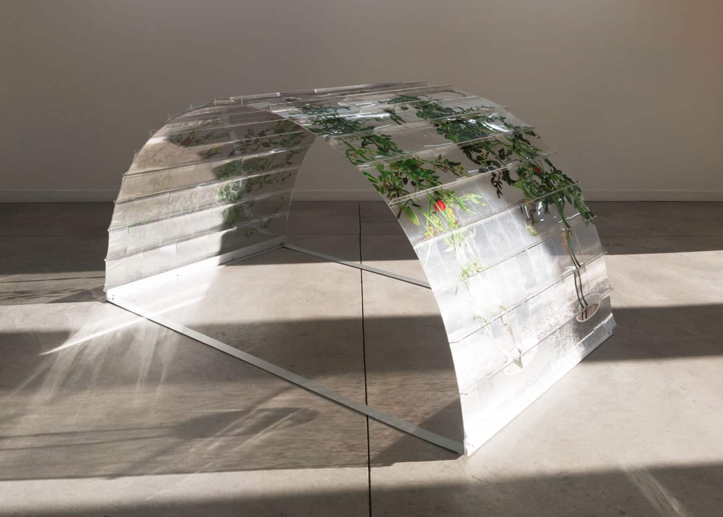 Alex Fischer, VII 6000, 2015 Alex Fischer, VII 6000, 2015