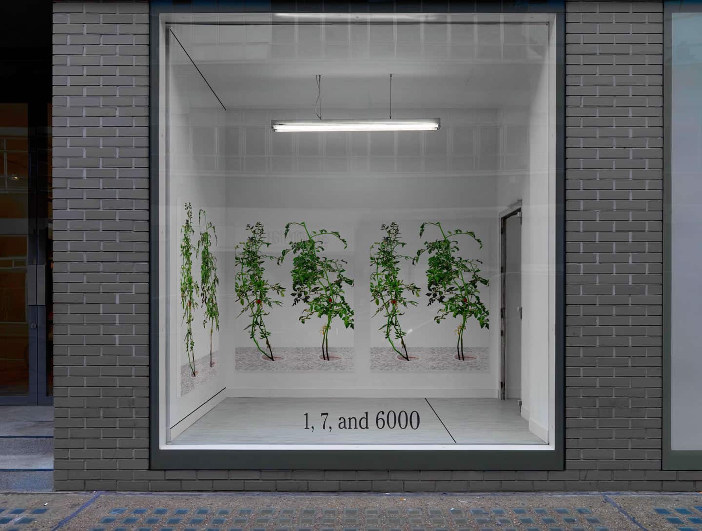 Alex Fischer, 1, 7 and 6000 elements mockup Alex Fischer, 1, 7 and 6000 elements mockup