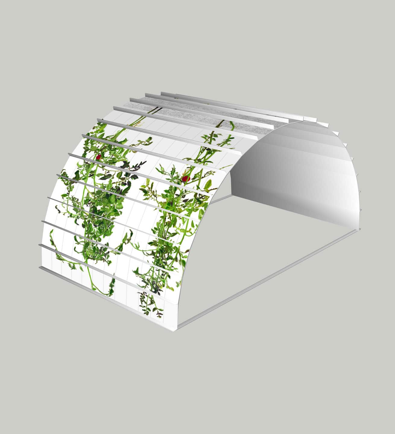 Alex Fischer, 1, 7 and 6000 elements mockup Alex Fischer, 1, 7 and 6000 elements mockup