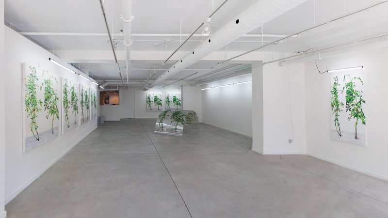 Alex Fischer, 1, 7 and 6000, O'Born Contemporary