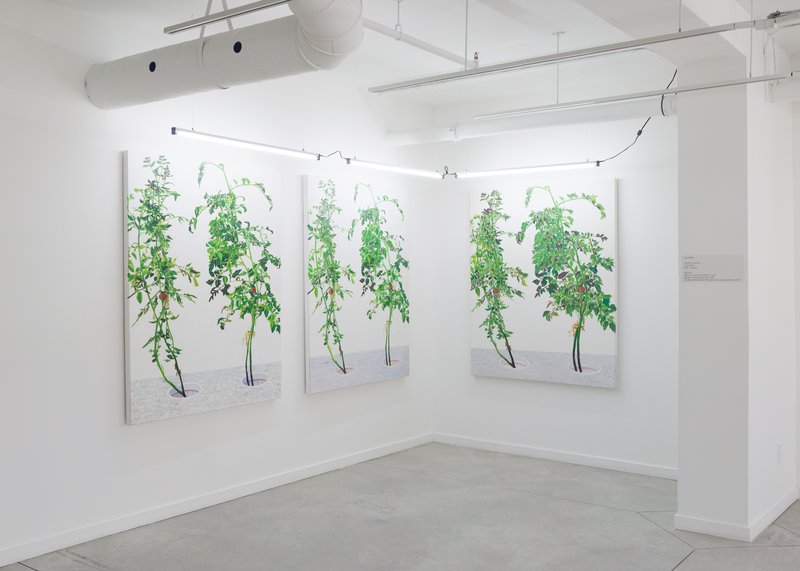 2015-02-26 07 Alex Fischer, 1, 7, and 6000, O'Born Contemporary, Toronto, Canada