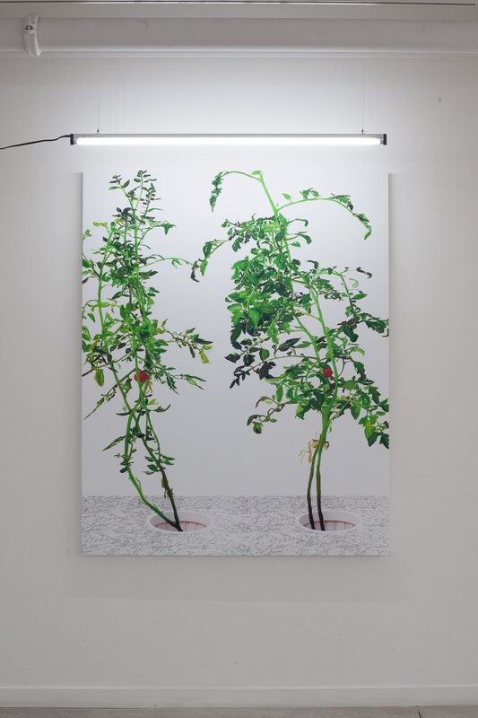 2015-02-26 12 Alex Fischer, 1, 7, and 6000, O'Born Contemporary, Toronto, Canada - VII Print