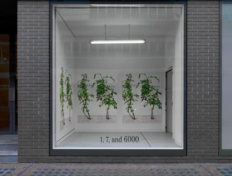 2015-02-26 48 Alex Fischer, 1, 7, and 6000, O'Born Contemporary, Toronto, Canada - mockup