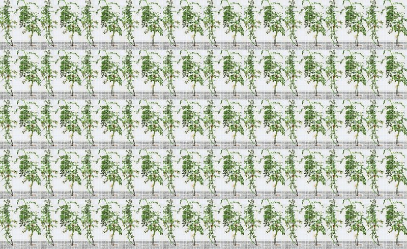 2015-02-26 68 Alex Fischer, 1, 7, and 6000, O'Born Contemporary, Toronto, Canada - 6000