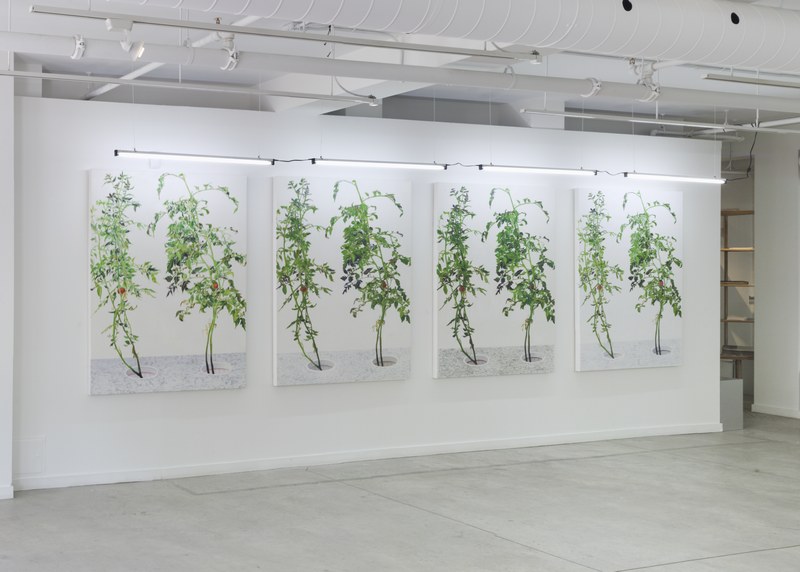 2015-02-28 Alex Fischer 1 7 6000 Oborn Contemporary 3