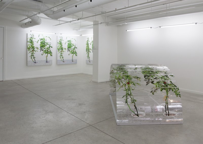 2015-02-28 Alex Fischer 1 7 6000 Oborn Contemporary 4alt