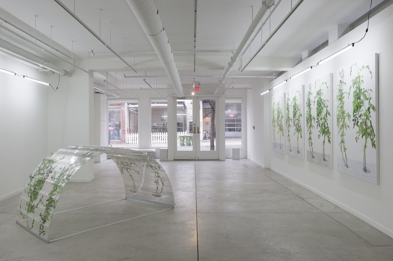 2015-02-28 Alex Fischer 1 7 6000 Oborn Contemporary 5