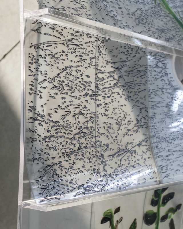 2015-02-28 Alex Fischer 1 7 6000 Oborn Contemporary 9 229 230