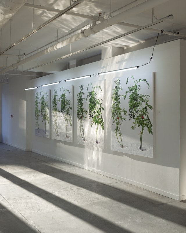 2015-02-28 Alex Fischer 1 7 6000 Oborn Contemporary Evening 1