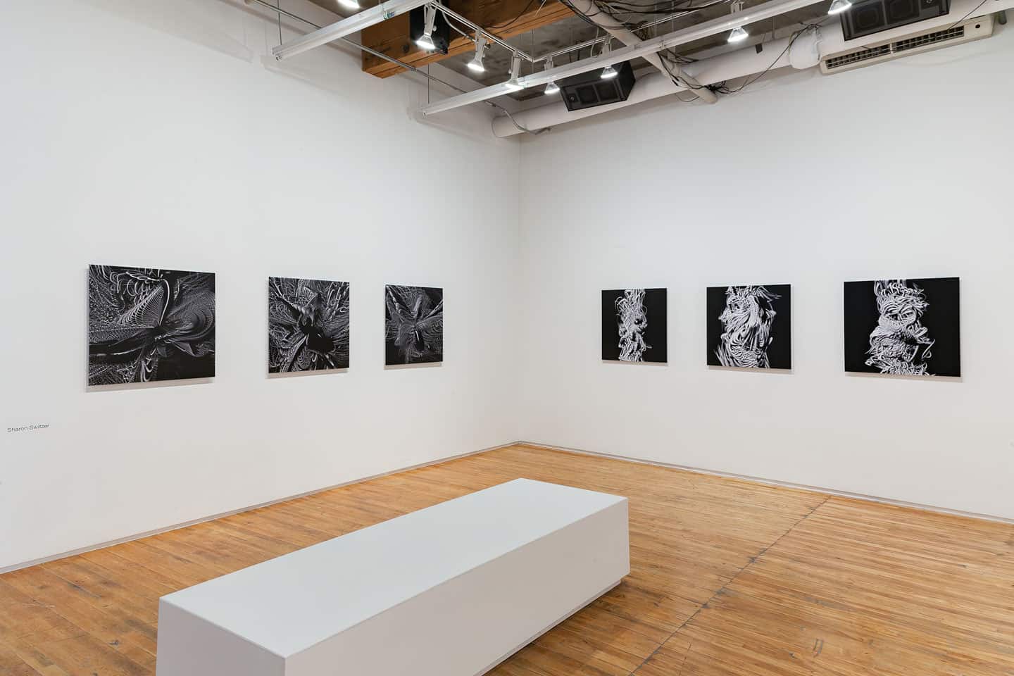 Sharon Switzer, Trace Copy Render, Circuit Gallery @ Prefix ICA, Toronto, Canada