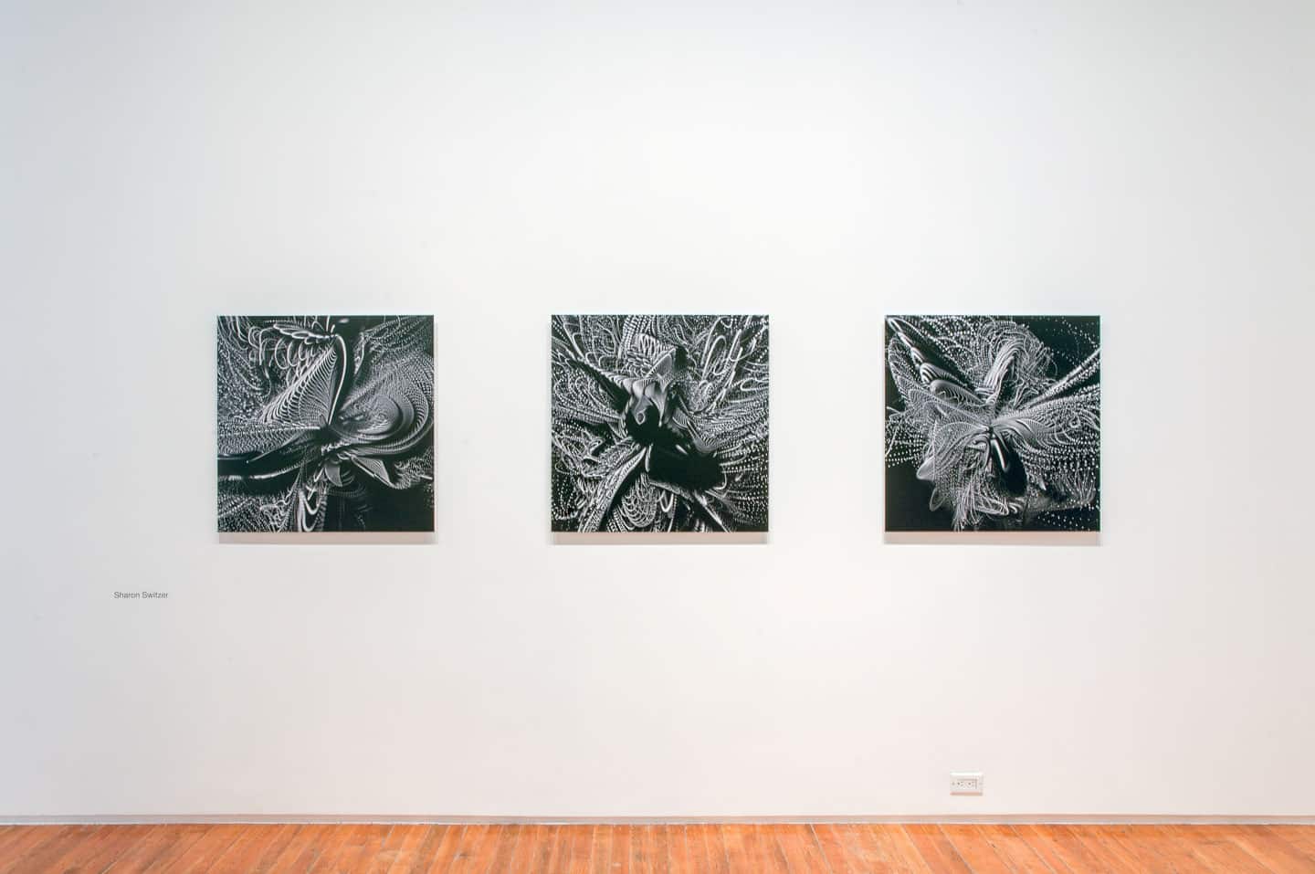 Sharon Switzer, Trace Copy Render, Circuit Gallery @ Prefix ICA, Toronto, Canada