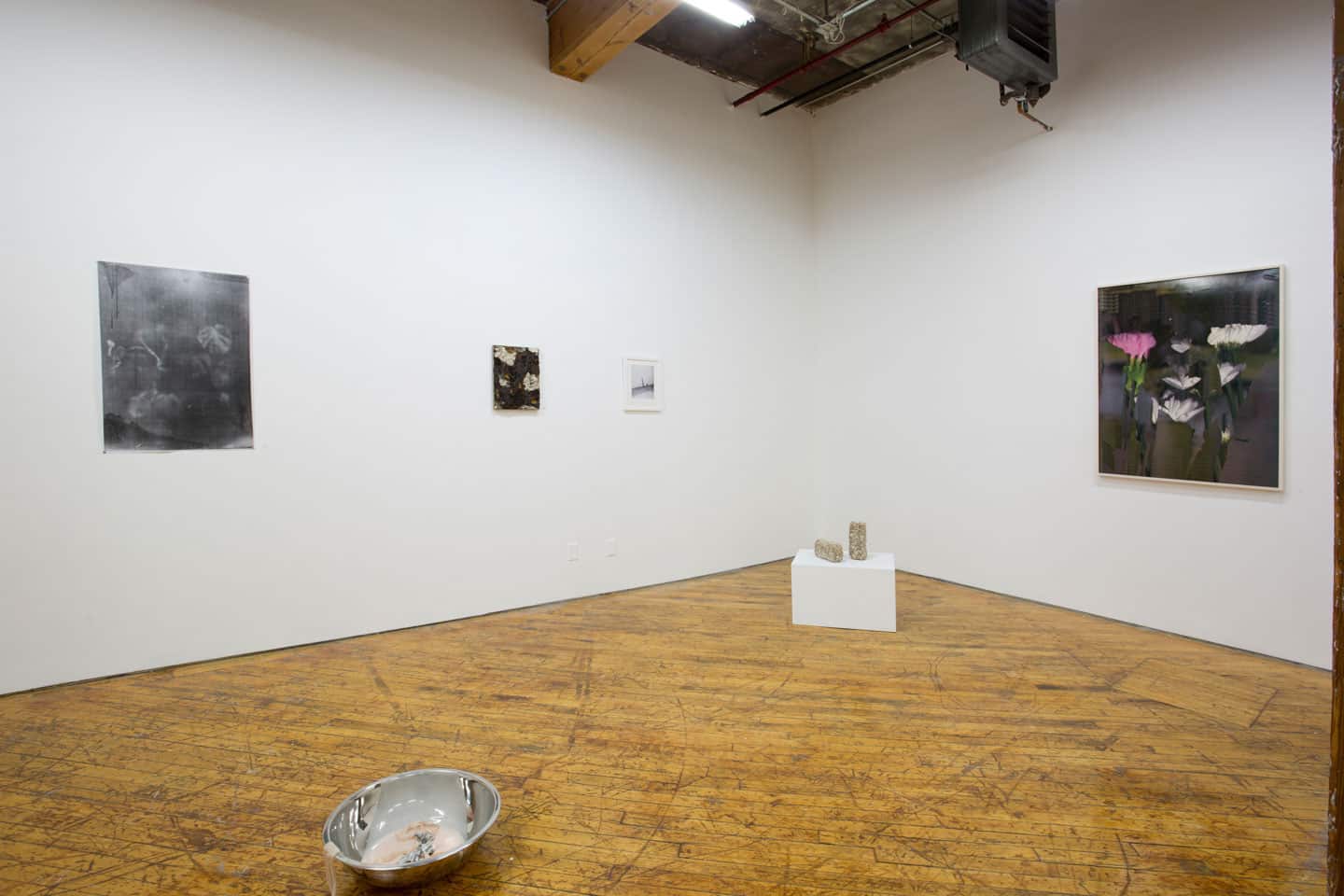 Bending Towards the Sun install at YYZ