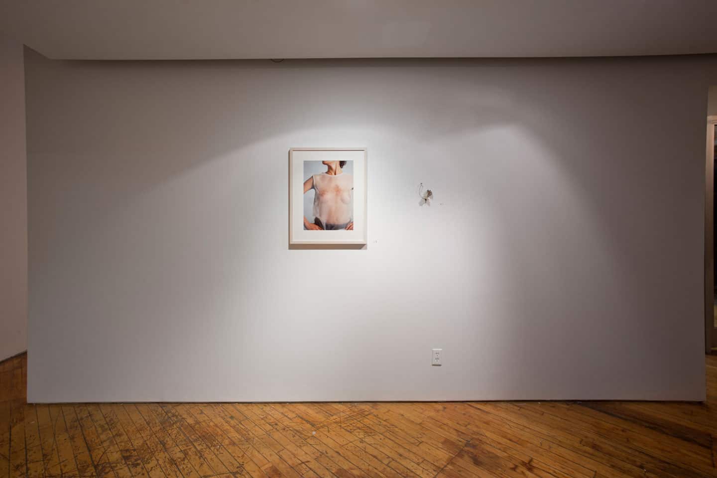 Bending Towards the Sun install at YYZ