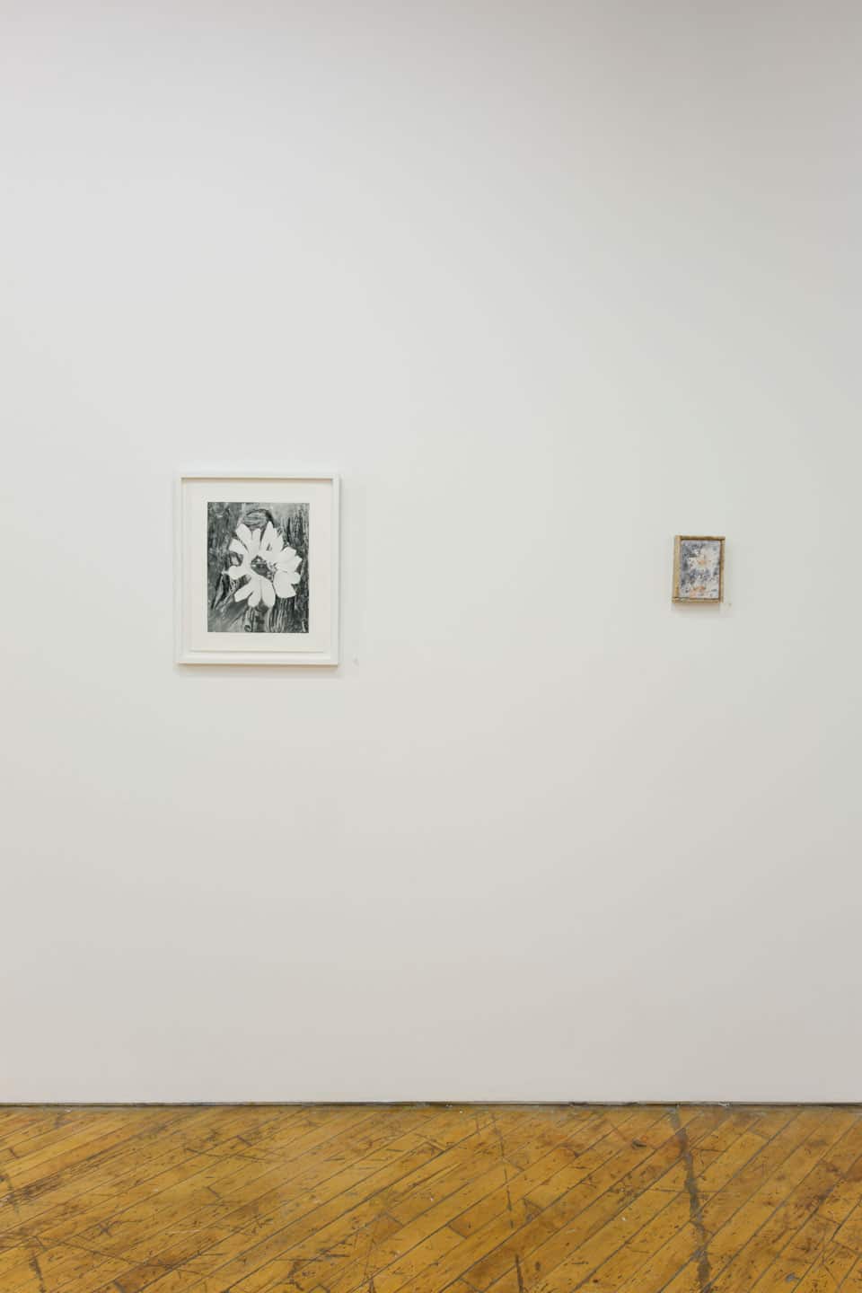 Bending Towards the Sun install at YYZ