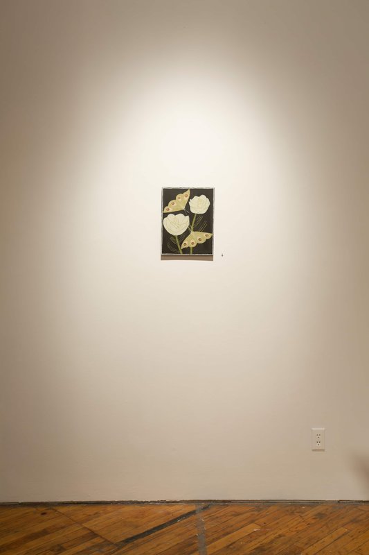 2019 Bending Towards the Sun YYZ 16 0N4A8084(L) 2019 Bending Towards the Sun YYZ 16 0N4A8084(L)