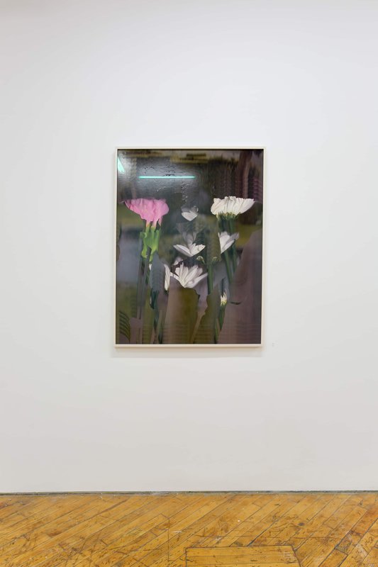 2019 Bending Towards the Sun YYZ 20 0N4A8103(L) 2019 Bending Towards the Sun YYZ 20 0N4A8103(L)