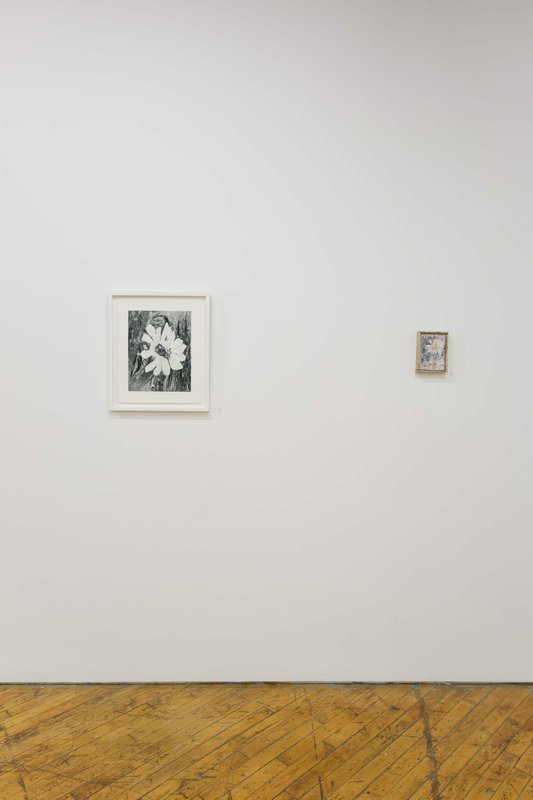 2019 Bending Towards the Sun YYZ 21 0N4A8104(L) 2019 Bending Towards the Sun YYZ 21 0N4A8104(L)