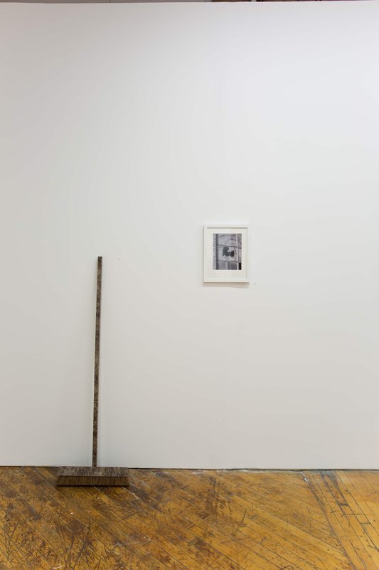 2019 Bending Towards the Sun YYZ 22 0N4A8106(L) 2019 Bending Towards the Sun YYZ 22 0N4A8106(L)