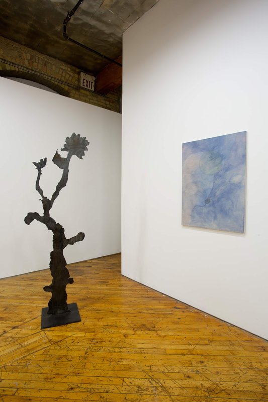 2019 Bending Towards the Sun YYZ 24 0N4A8116(L) 2019 Bending Towards the Sun YYZ 24 0N4A8116(L)