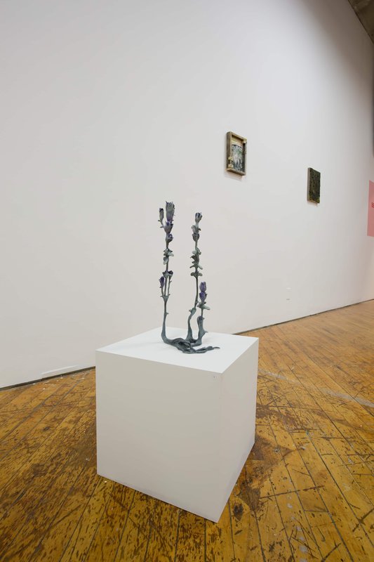 2019 Bending Towards the Sun YYZ 27 0N4A8148(L) 2019 Bending Towards the Sun YYZ 27 0N4A8148(L)