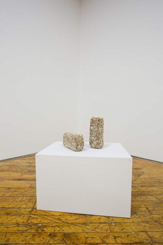 2019 Bending Towards the Sun YYZ 28 0N4A8150(L) 2019 Bending Towards the Sun YYZ 28 0N4A8150(L)