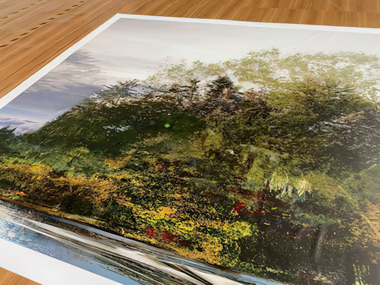 Day Forest, 2021, production