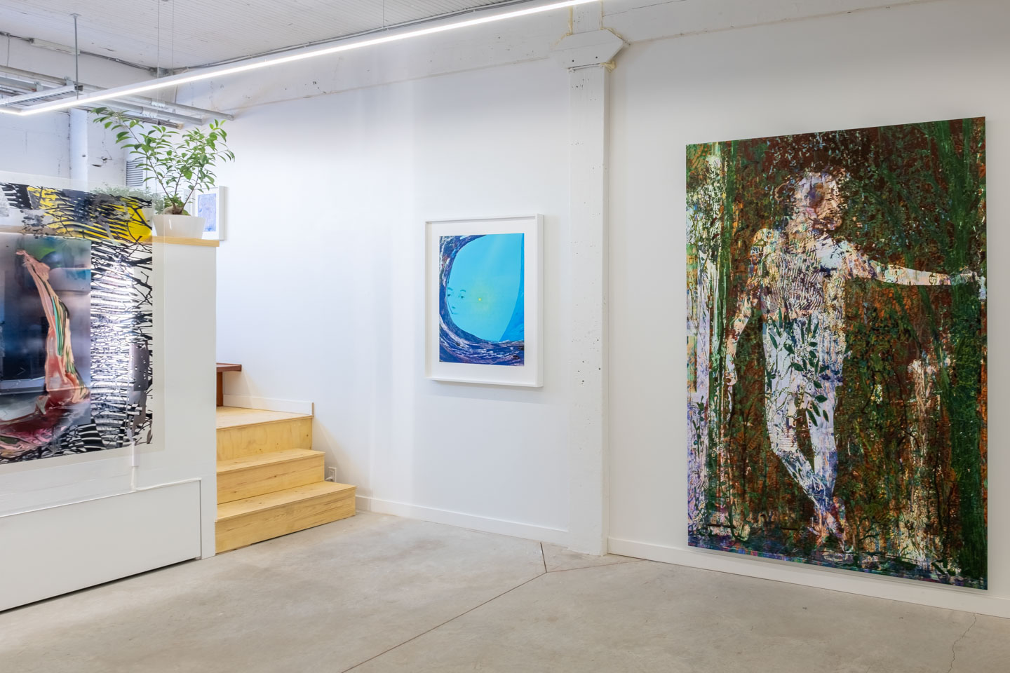 Alex Fischer, Art Show, NAMARA projects