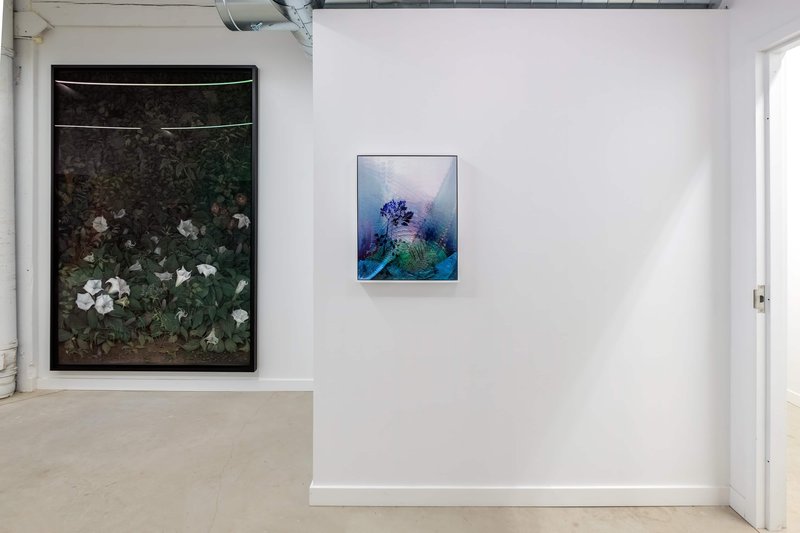 NAMARA-projects_Giving-Entry_05-Alex-Fischer-Untitled-202270401 NAMARA-projects_Giving-Entry_05-Alex-Fischer-Untitled-202270401