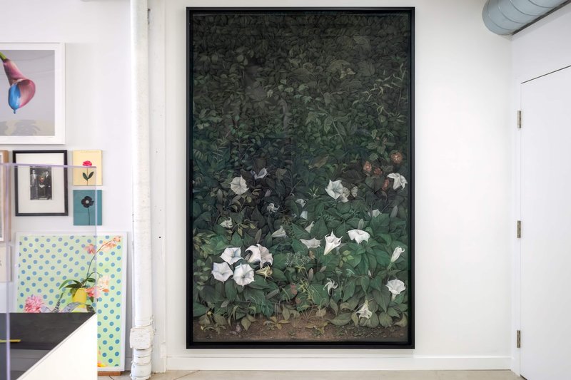 NAMARA-projects_Giving-Entry_07-Zachari-Logan-Datura NAMARA-projects_Giving-Entry_07-Zachari-Logan-Datura