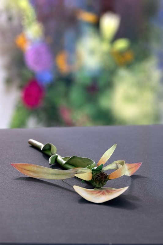 NAMARA-projects_Giving-Entry_72-Zachari-Logan-After-Mary-Delaney-2-6x4 NAMARA-projects_Giving-Entry_72-Zachari-Logan-After-Mary-Delaney-2-6x4