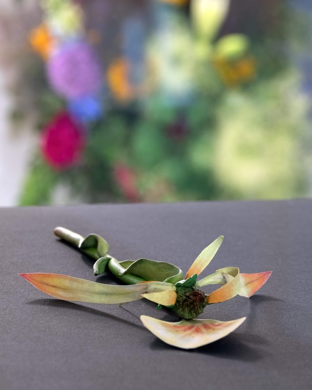 NAMARA-projects_Giving-Entry_73-Zachari-Logan-After-Mary-Delaney-2-5x4 NAMARA-projects_Giving-Entry_73-Zachari-Logan-After-Mary-Delaney-2-5x4