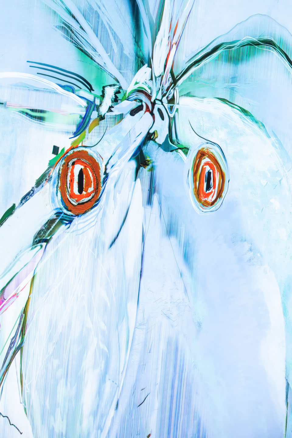 Alex Fischer, Blue Parrots, 2023, lightjet lightbox detail